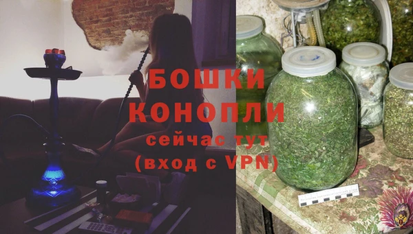 прущие крисы Киренск