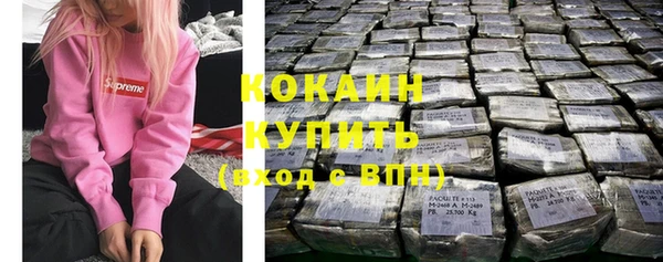 прущие крисы Киренск